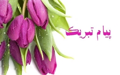 انتخاب مدیر گروه ریاضی دانشکده علوم پایه به عنوان مدیر گروه برگزیده دانشگاه قم
